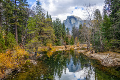 Scenic view of lake amidst trees in forest against sky