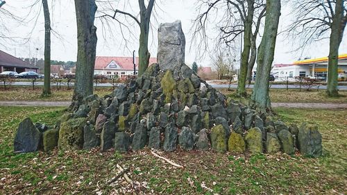 Man with trees in background