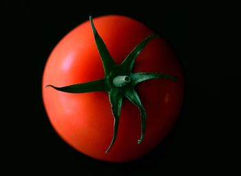 Close-up of red black background