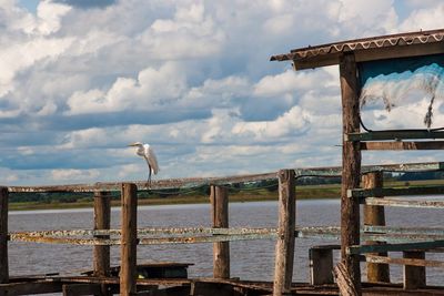 Seagull on wooden pier over sea against sky