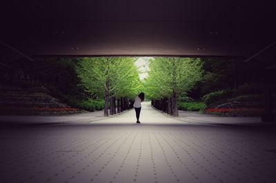 Rear view of a man standing on road