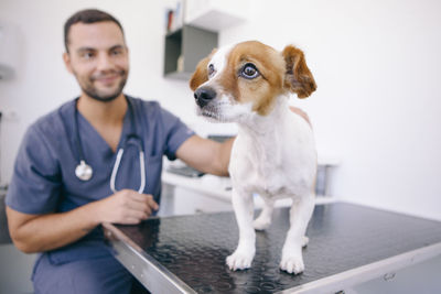 Veterinarian examining puppy in hospital