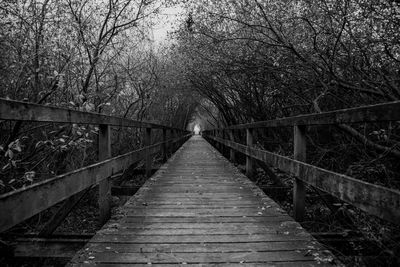 View of footbridge in forest