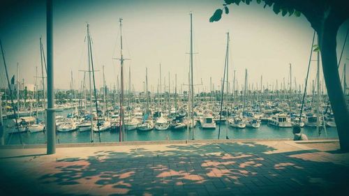 Boats in harbor