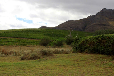 Scenic view of grassy field against cloudy sky