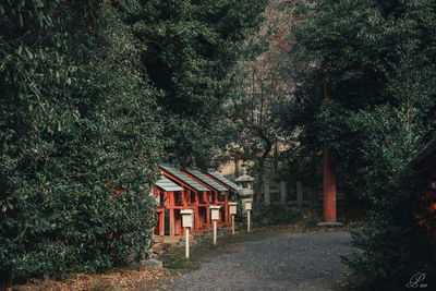 House amidst trees in forest