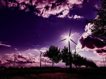 Low angle view of silhouette plant against sky at sunset