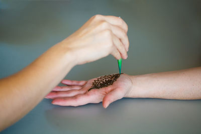 Cropped hand of person holding thermometer