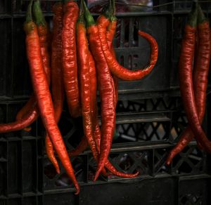 Close-up of red chili peppers