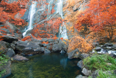 Scenic view of waterfall in autumn