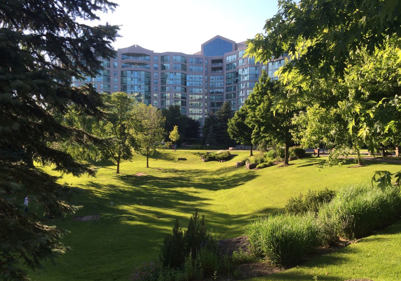 building exterior, architecture, built structure, tree, grass, city, green color, growth, clear sky, building, lawn, skyscraper, residential building, modern, office building, tower, day, residential structure, outdoors, tall - high