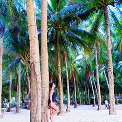 People by palm trees at beach