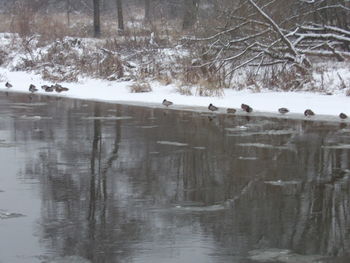 Scenic view of frozen lake