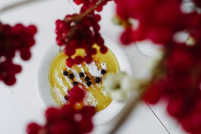 Close-up of red fruit on plate