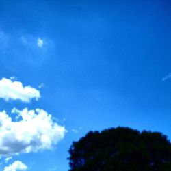 Low angle view of trees against blue sky