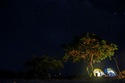 Trees on field against sky at night