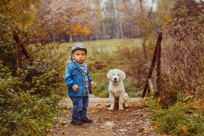 Full length of dog in forest during autumn