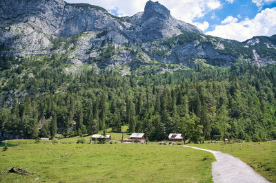 Scenic view of field against mountains