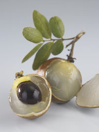 Close-up of fruits against white background