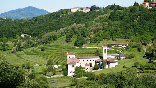 High angle view of houses and trees on field