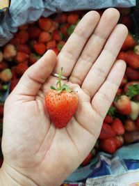 Close-up of hand holding strawberries