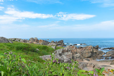 Scenic view of sea against sky