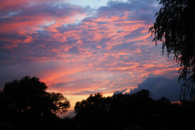 Low angle view of silhouette trees against sky at sunset