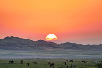 Scenic view of sunset