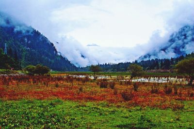 Scenic view of field against cloudy sky