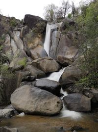 Scenic view of waterfall in forest