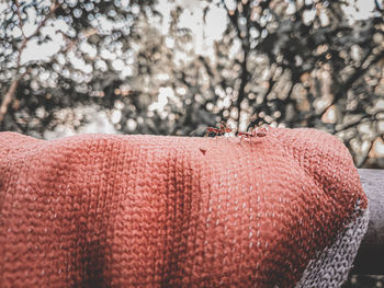 Close-up of warm clothing against bare tree