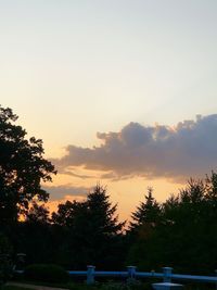 Silhouette trees against sky during sunset