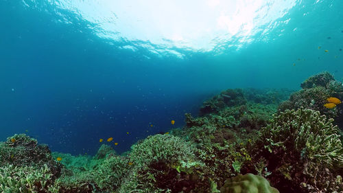 underwater