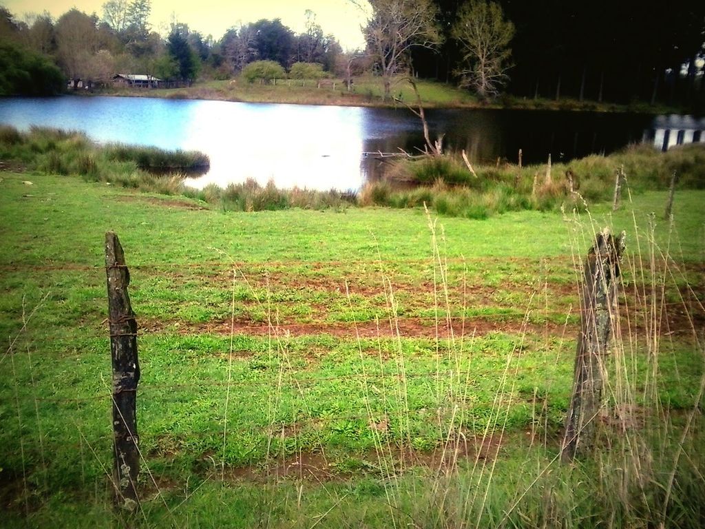 water, grass, lake, tranquility, tranquil scene, reflection, nature, beauty in nature, scenics, fence, green color, tree, growth, river, grassy, field, lakeshore, plant, idyllic, outdoors