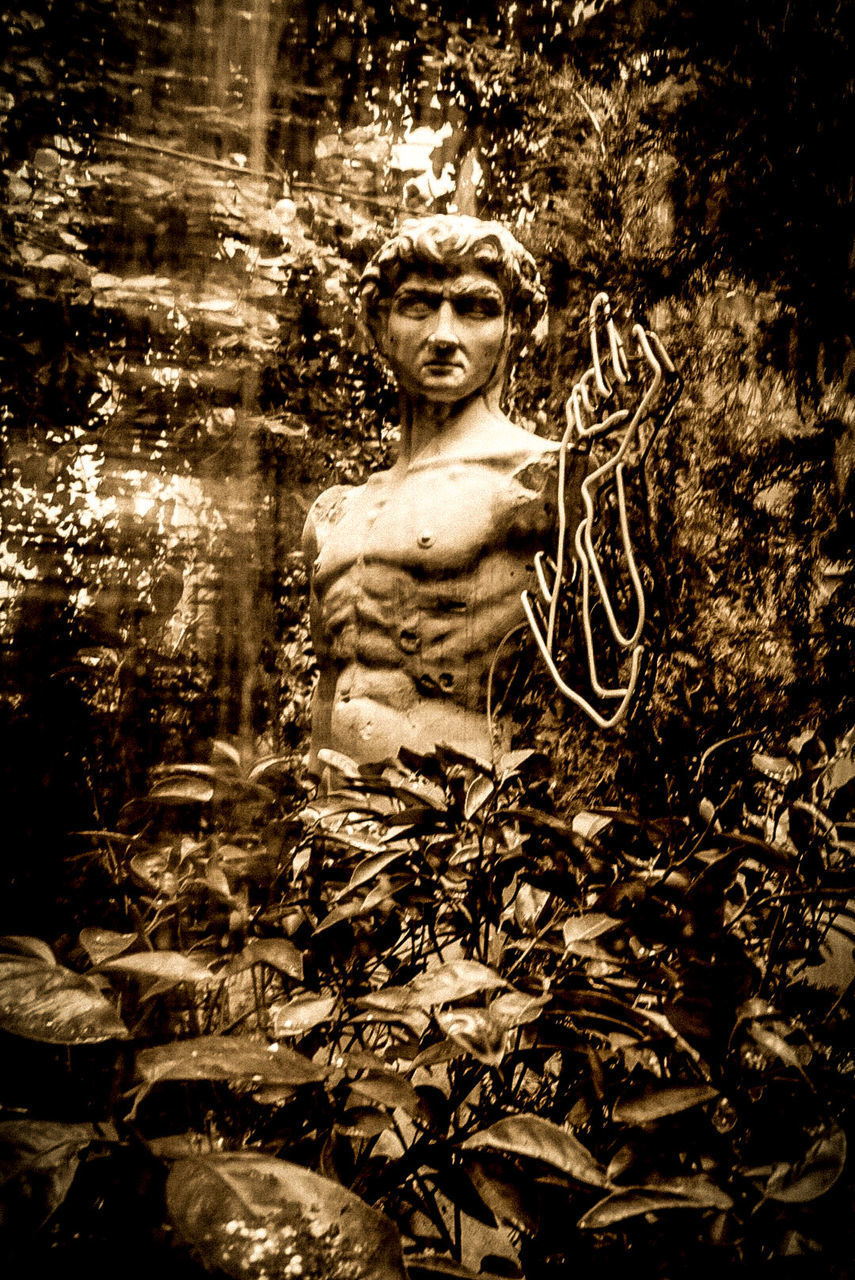 PORTRAIT OF STATUE AGAINST TREES