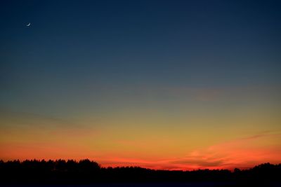 Silhouette trees on field against sky at sunset