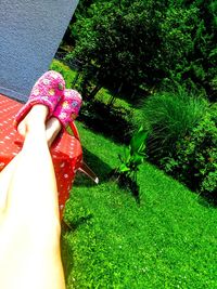 High angle view of woman with flower petals on grass