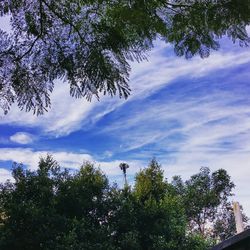 Low angle view of trees against cloudy sky