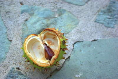 High angle view of bananas on rock