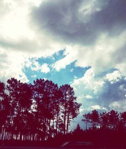 Low angle view of trees against cloudy sky
