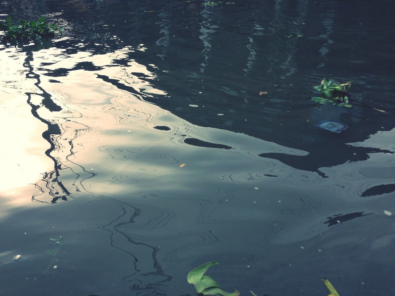 Chen Chieh-Wei's EyeEm