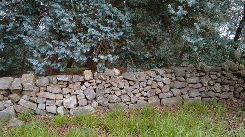 Stack of logs on stone wall