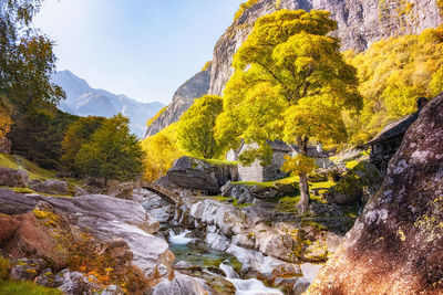 Scenic view of mountains against sky with a creek in autumn