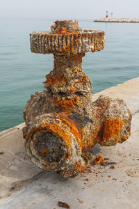 Close-up of rusty metal on rock at beach