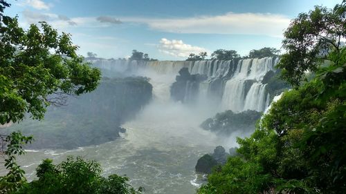 Scenic view of waterfall in forest