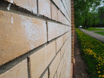 Close-up of wall by footpath