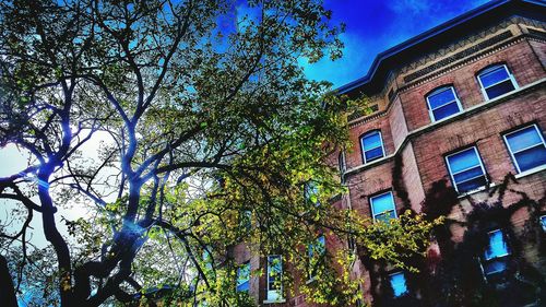 Low angle view of building against blue sky