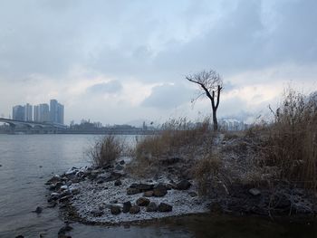 Scenic view of river against sky during winter