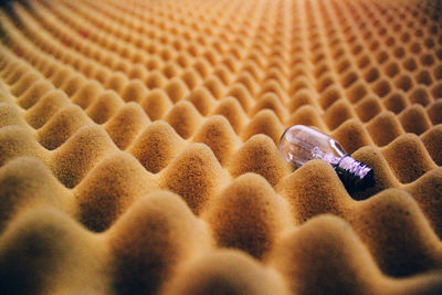 Light bulb on egg carton