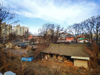 Houses and bare trees by buildings against sky